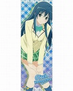 駿河屋 -<中古>ユイ Yui もっとToLOVEる キャラポスコレクション（アニメ）