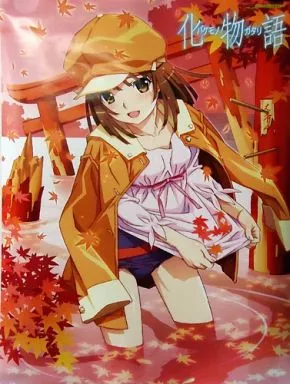 駿河屋 -<中古>B2ポスター 千石撫子 「Blu-ray＆DVD 化物語 第4巻なで
