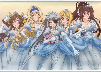 インフィニット・ストラトス　ポスター Infinite Stratos - Poster (掛式アートポスター ～原作