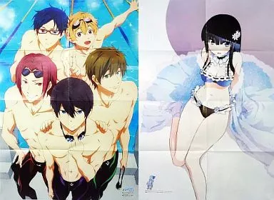 B2両面ポスター(八つ折) 集合(プール)/司波深雪 「Free! Eternal Summer/魔法科高校の劣等生」 アニメディア2014年6月号 別冊付録_image