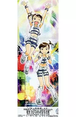 双海亜美・真美 アイドルマスター トレーディングクリップポスター