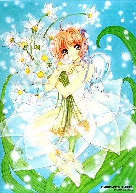 駿河屋 -<中古>クリアポスター 木之本桜 「カードキャプター