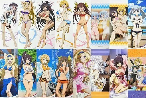 全16種セット 「IS＜インフィニット・ストラトス＞ シャワーポスターコレクション」