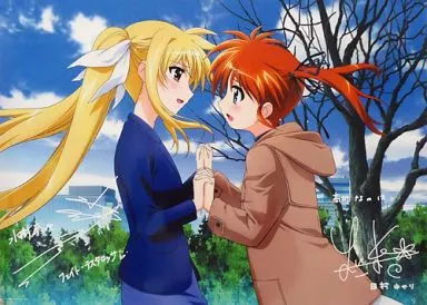 [鑑賞券無し] A3メタルポスター 高町なのは＆フェイト・テスタロッサ 「魔法少女リリカルなのは The MOVIE 2nd A’s」 全国共通特別鑑賞券限定仕様第1弾