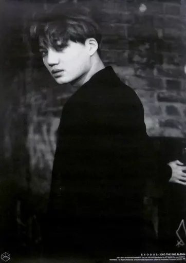 ポスター カイ(EXO) 「CD EXODUS」 購入特典_image