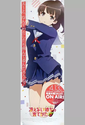 駿河屋 -<中古>B2短冊告知ポスター 加藤恵 「冴えない彼女の育て