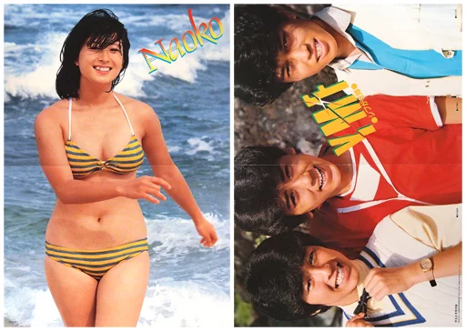 駿河屋 -<中古>両面ポスター(二つ折) 河合奈保子&frasl;シブがき隊 月刊平凡