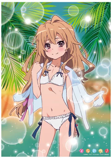 【新品未開封】とらドラ！　逢坂大河　水着Ver. Amazon.co.jp: とらドラ! 逢坂大河 水着Ver. (1/7スケール PVC製塗装