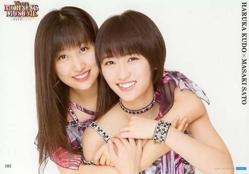 【在庫あり】 駿河屋 -<中古>コレクションピンナップポスターPart-4 No.102 アイドル