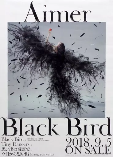 Aimer ポスター 特典 Black Bird Ref:rain Aimer Official Web Site | NEWS