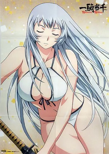 ポスター(アニメ)　アニメ描き下ろしイラスト使用B2布ポスター 趙雲子龍 「Blu-ray/DVD 一騎当千 Western Wolves」 ソフマップ購入特典
