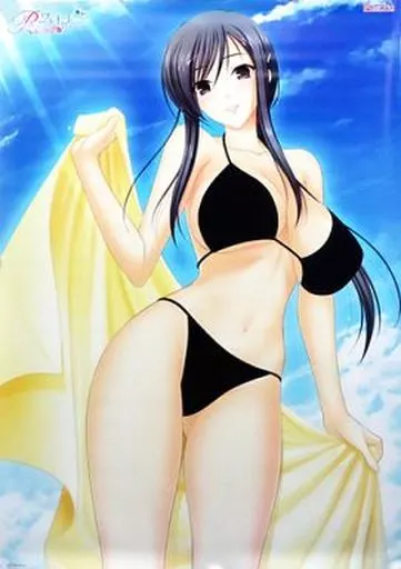 正規品 柊木綾子 マイクロファイバータオル ワルキューレロマンツェ Ricotta Ricotta ワルキューレロマンツェ 柊木綾子 お風呂ポスターとタオルのセット