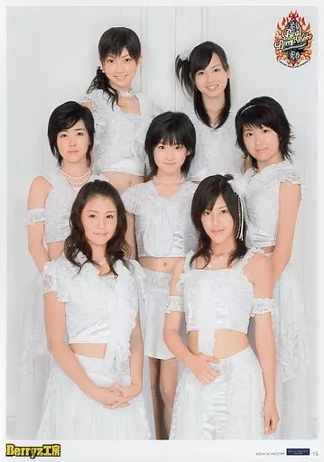 駿河屋 -<中古>コレクションピンナップポスターPart1 No.15 Berryz工房