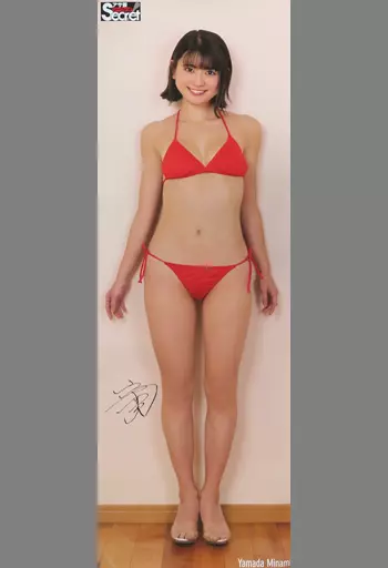 【新品:匿名配送】DVD 山田南実 アサ芸シークレット2点セット Amazon.co.jp: アサ芸シークレット 等身大ポスター 山田南実 : ホビー