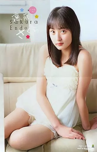 駿河屋 -<中古>両面BIGポスター(四つ折) 遠藤さくら(乃木坂46