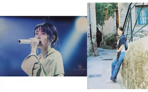 ZARD what a beautiful memory B2サイズ ポスター ZARD What a beautiful memory 2009 | ZARD | JBBJ-5003 | ビーグラム