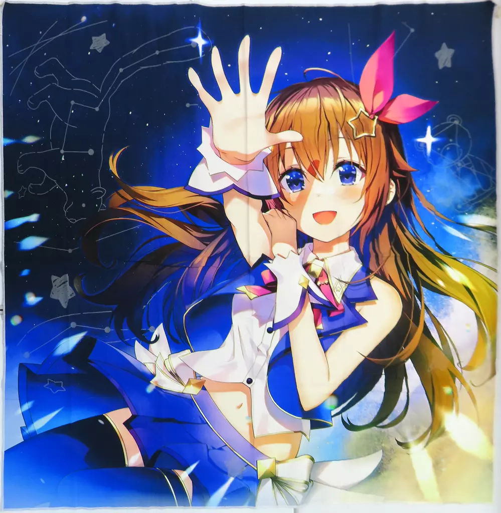 ポスター　[単品] 超特大サイズ布製ポスター ときのそら 「CD バーチャルYouTuber ホロライブ ときのそら / sIgn 初回限定盤」 同梱特典