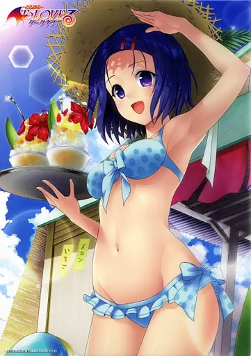A3クリアポスター 8枚 西連寺春菜 ToLOVEる とらぶる 駿河屋 -<中古>A3クリアポスター(finale) 西連寺春菜 「To LOVEる