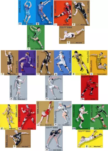 ハイキュー Vリーグ A4ポスター 全種セット ハイキュー A4ポスターコレクション Vリーグ 全種 日向 影山 夜