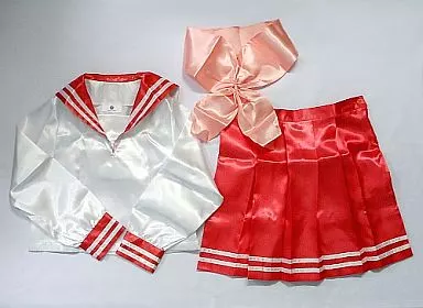 PS2「らき☆すた～陵桜学園桜藤祭～」DXパック同梱特典 陵桜学園