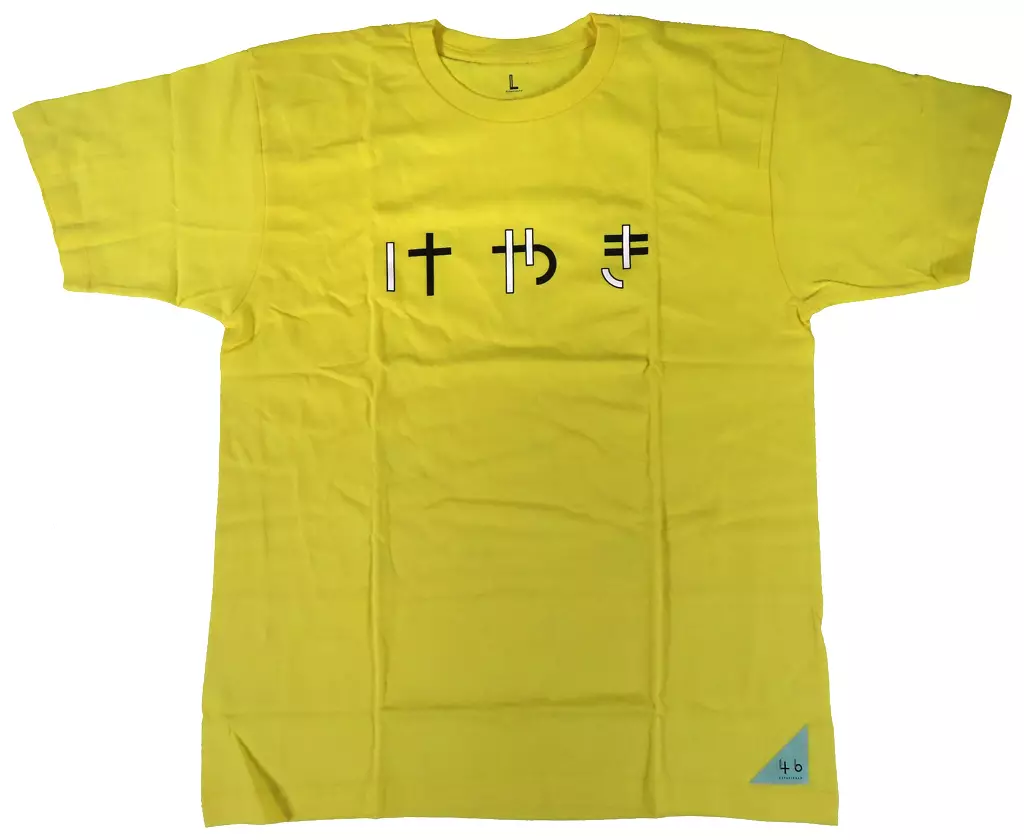 欅坂　けやき坂　ひらがな　Ｔシャツ けやき坂46(ひらがなけやき)「走り出す瞬間」ツアー2018 大阪