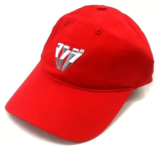 THE GREAT SEUNGRI マンジ キャップ RED 駿河屋 -<中古>V.I(from BIGBANG) マンジキャップ レッド 「SEUNGRI