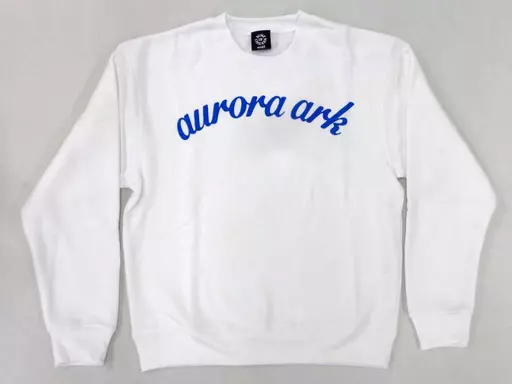 BUMP OF CHICKEN aurora ark スウェット L aurora ark Crew Neck Sweat