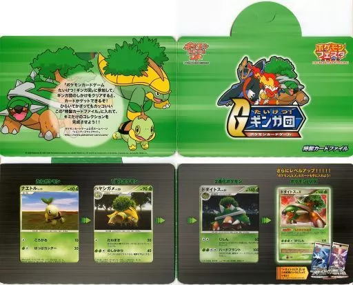超希少品 DPt たいけつギンガ団 ポケモンフェスタ プロモ【ポケモンカード】 ポケモンカード ポケモンフェスタ2008 たいけつ！ギンガ団特製カード