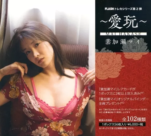 FLASHトレカ【葉加瀬マイ4～愛玩～】ピンスポビキニカード02(パンティバック) シリアル 2/9 トレーディングカード FLASHトレカ&frasl;葉加瀬マイ3 ～愛玩～ ピンスポビキニカード02 #04&frasl;04 (A
