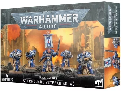 スペースマリーン： スターンガード・ベテラン・スカッド 「ウォーハンマー40000」 (Space Marines： Sternguard Veteran Squad) [48-49]