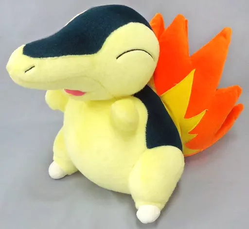 おっきなサイズのヒノアラシ　トミー　ポケモン 駿河屋 -<中古>ヒノアラシ おっきなサイズのヒノアラシぬいぐるみ