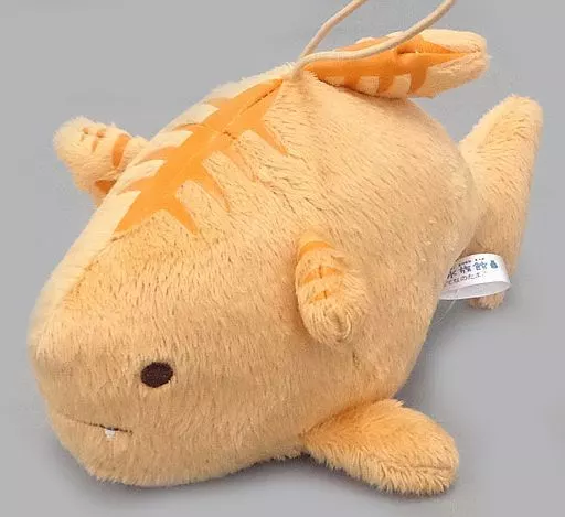 サメにゃんこ 仲間たち 「空想水族館」
