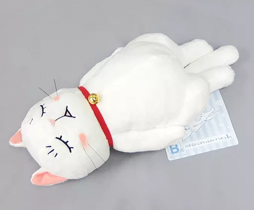 【中古】「非常に良い」一番くじ ３月のライオン ニャーちゃんがいっぱい B賞 川本家のシロちゃんぬいぐるみ 駿河屋 -<中古>[タグ有・美品] 川本家のシロちゃんぬいぐるみ 「一番