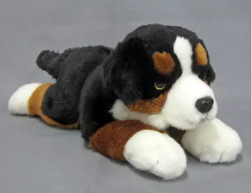 駿河屋 -<中古>バーニーズ・マウンテン・ドッグ ぬいぐるみ(大
