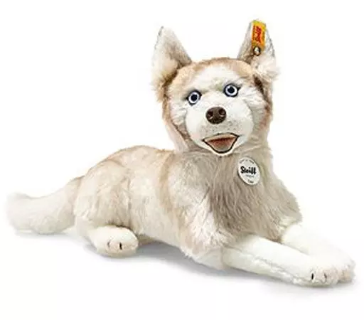 ぬいぐるみ　Siberian Dui husky-シベリアン デュイ ハスキー- ぬいぐるみ 35cm