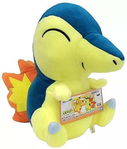 ヒノアラシ つれてってでっかい～ピカチュウ・ヒノアラシ～ 「ポケットモンスター」