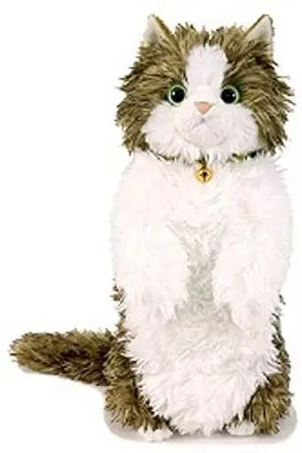 長毛 (S) 「熱烈!!にゃんこ屋」