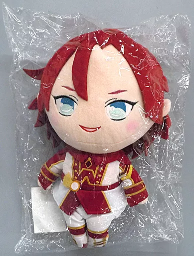 駿河屋 -<中古>[美品] 三鷹アサヒ 着せ替えぬいぐるみ 「アイドル