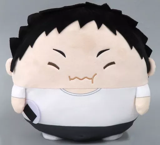 ハイキュー まるかく ビッグ 澤村 グッズ-ぬいぐるみ】ハイキュー!! ふわコロりんBIG7 A:澤村大地