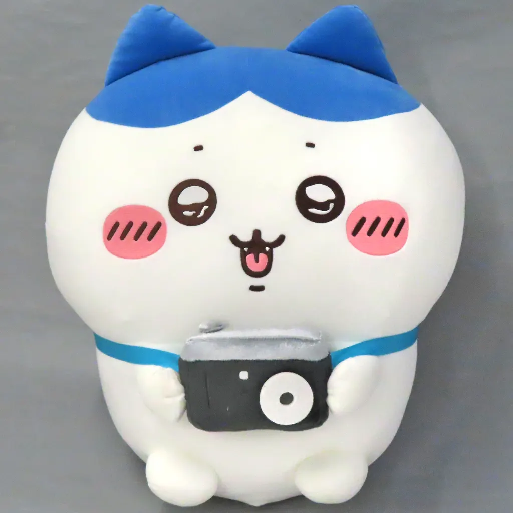 駿河屋 -<中古>ハチワレ(撮るよーッ!!!) 超BIGぬいぐるみ 「ちいかわ