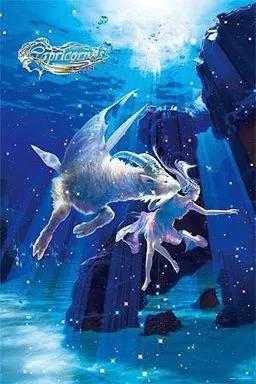 KAGAYA カプリコーナス　山羊座　ジグソーパズル 駿河屋 -<中古>カプリコーナス-山羊座- ジグソーパズル 1000ピース [10