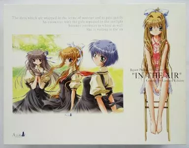 IN THE AIR 「AIR」 C59 リミテッドエディション ジグソーパズル 3000ピース