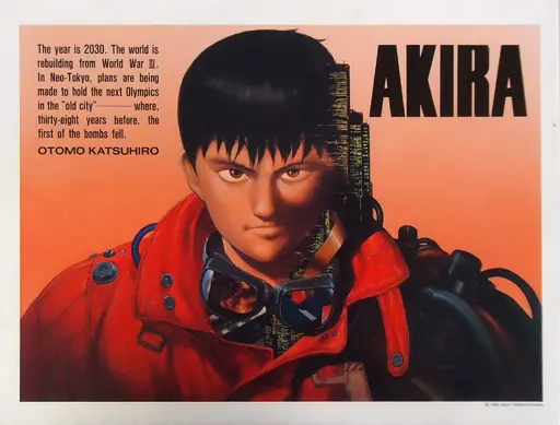 AKIRA 2000ピースパズル Amazon.co.jp: Akira アキラ 阿基拉 ジグソーパズル 木製のパズル