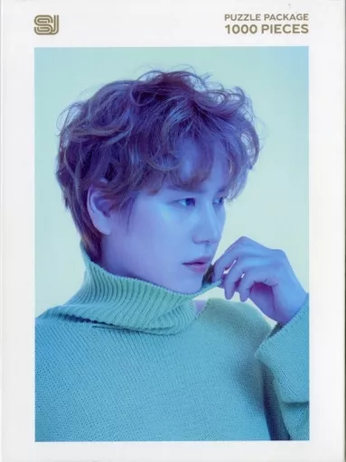 SUPER JUNIOR キュヒョン 1000ピースパズル 新品未開封 駿河屋 -<中古>SUPER JUNIOR PUZZLE PACKAGE キョヒュン(KYUHYUN