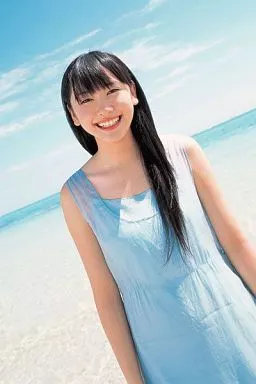 駿河屋 -<中古>【BOX】HIT'S LIMITED 新垣結衣 ファースト