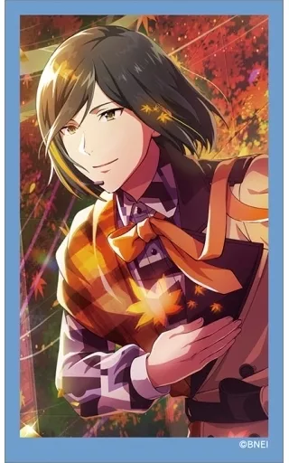 11. 「アイドルマスター SideM キャラガムコレクション(ステッカー付き)/BOX3」
