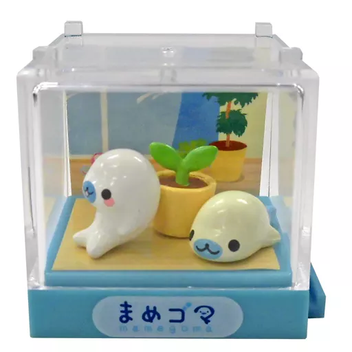まめゴマリウム まめゴマとの楽しい毎日 5.しろゴマ(鉢植え)+みずゴマ