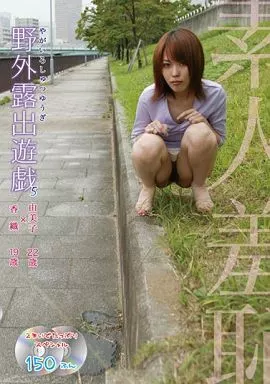 遊具　野外露出 