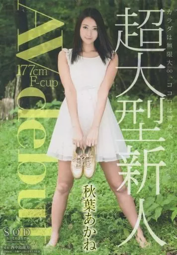 AV debut / 秋葉あかね
