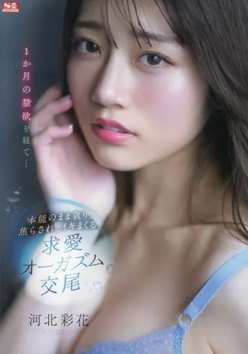 1か月の禁欲を経て…本能のまま貪り、焦らされ、イキまくる。求愛オーガズム交尾 / 河北彩花